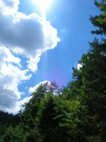 licht-416x557