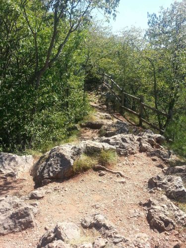 odmor_2012_101