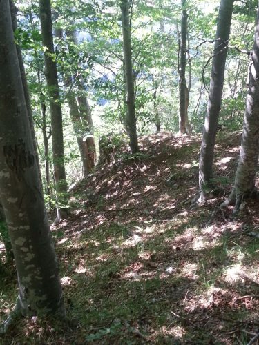 odmor_2012_135